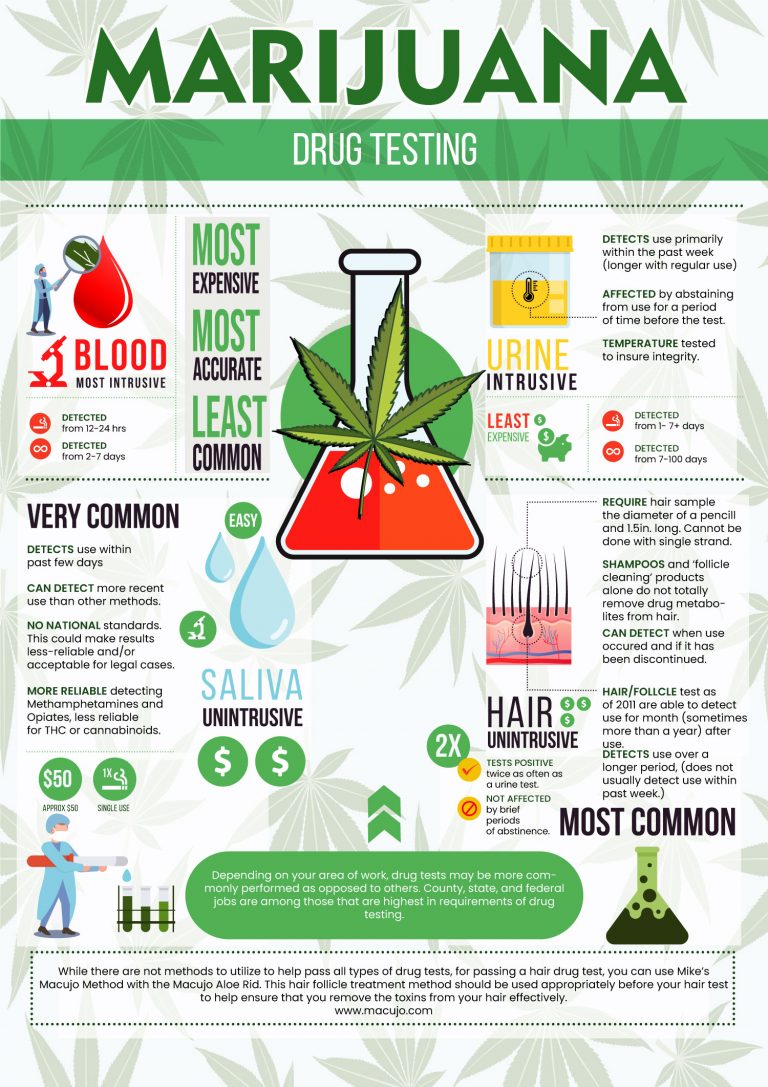 Cannabis Drug Testing Facts Infographic Macujo