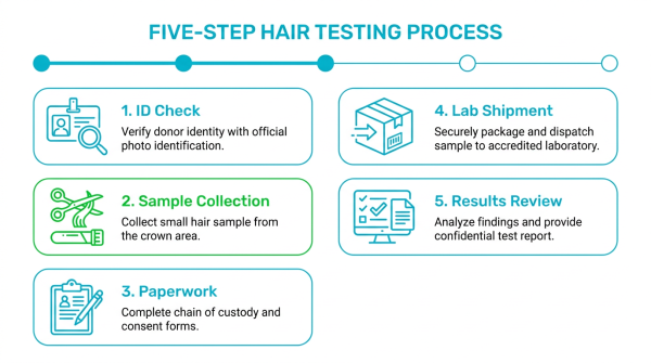 Infographic detailing the 5-step process of hair testing