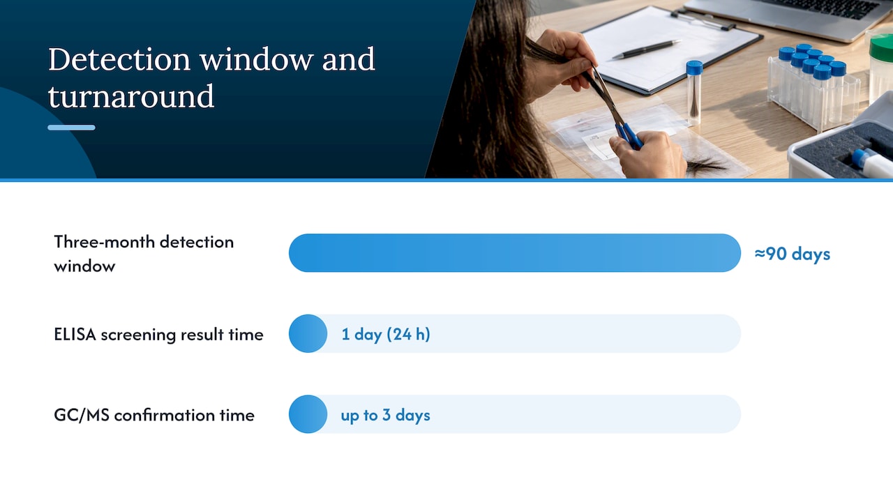 How hair testing works from collection to lab confirmation — overview diagram