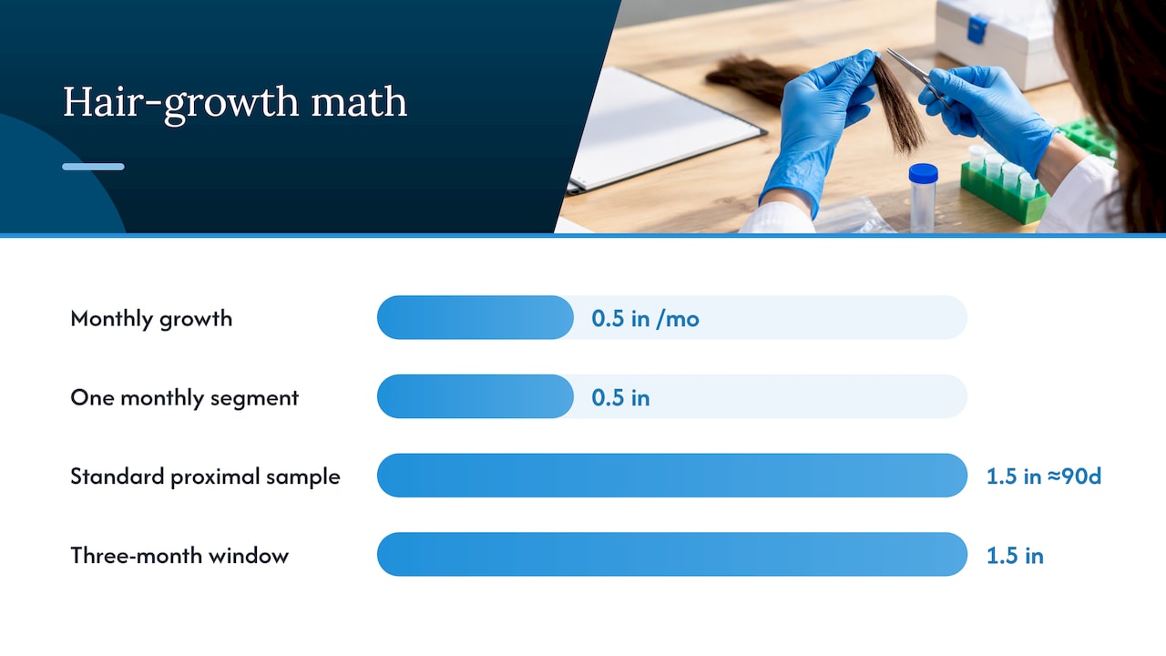 Hair sample growth and testing timeline