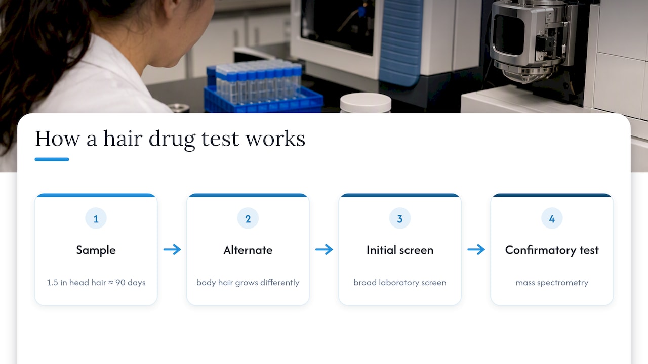 How hair drug testing works and what the result measures — overview diagram