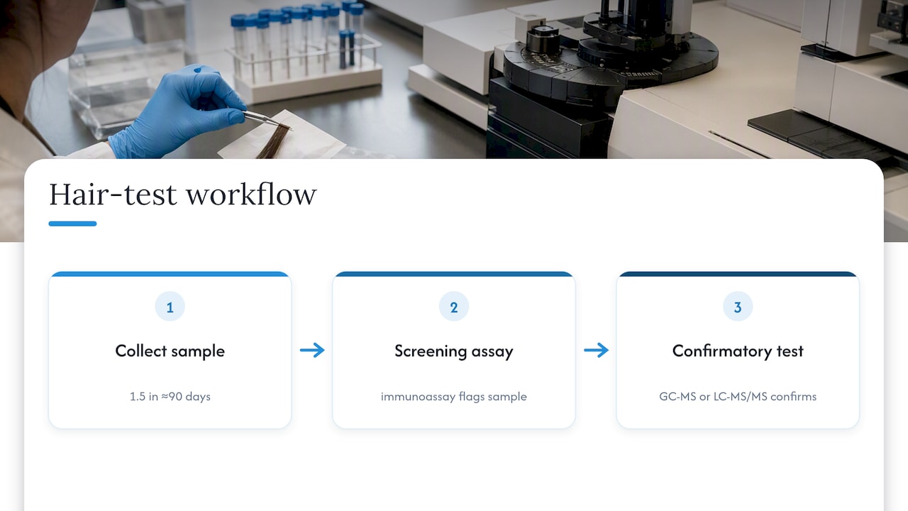 Two-stage hair test confirmation workflow