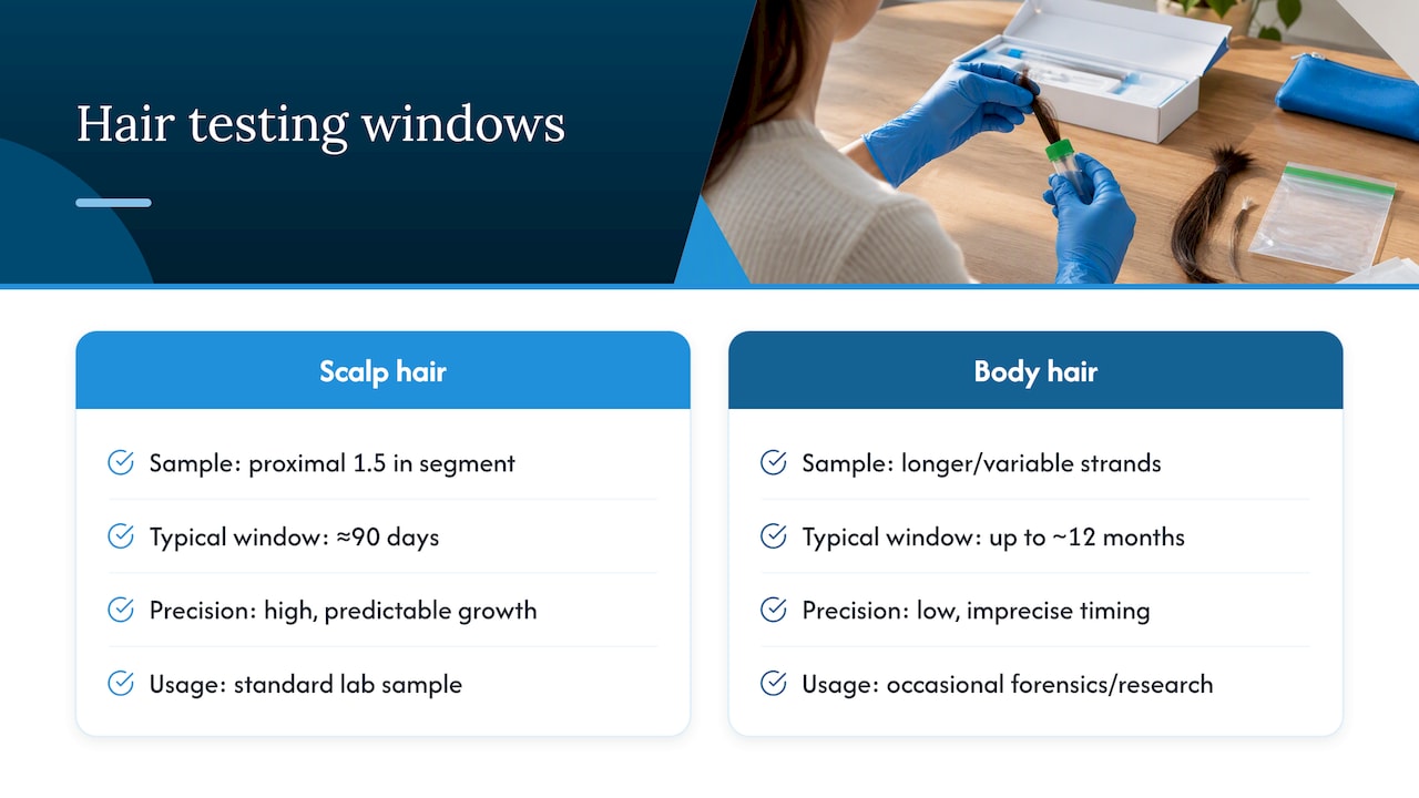Scalp and body hair detection timelines compared