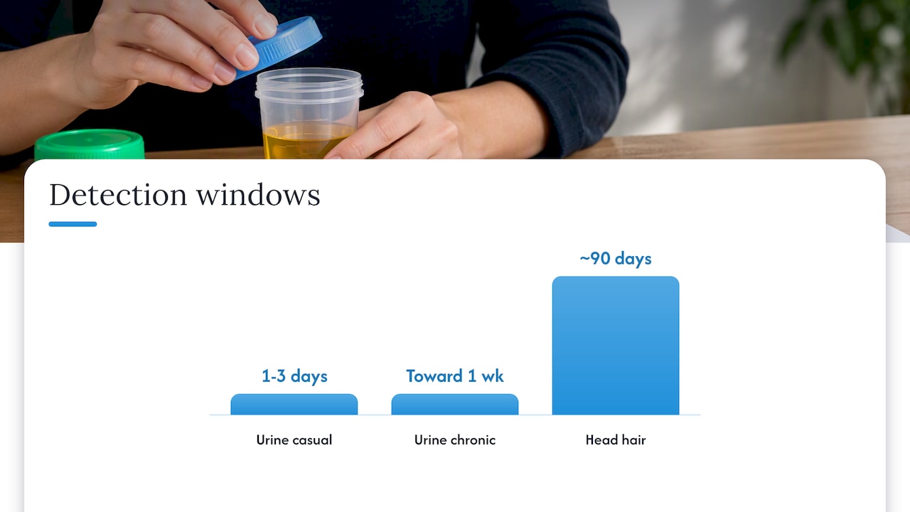 Hair and urine detection windows compared over time