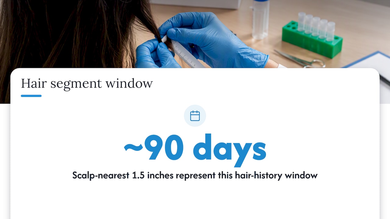 Hair strand segments mapped to time periods
