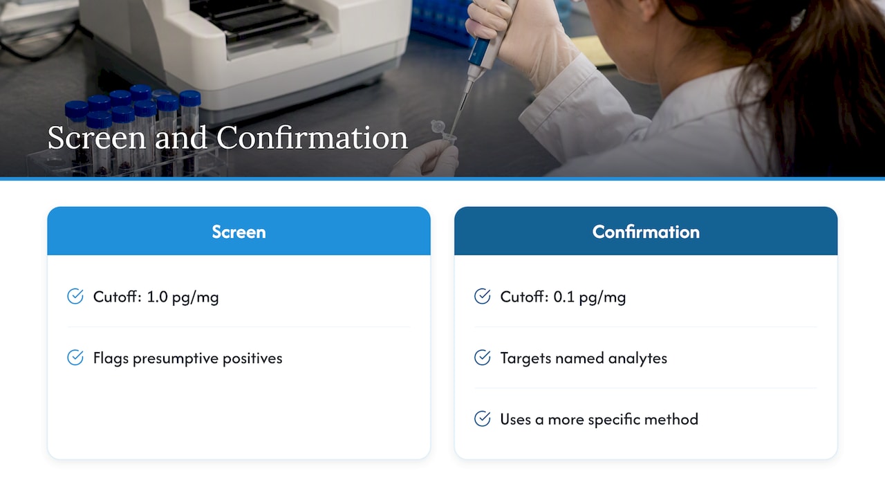 Screen versus confirmation: where a result is decided — overview diagram