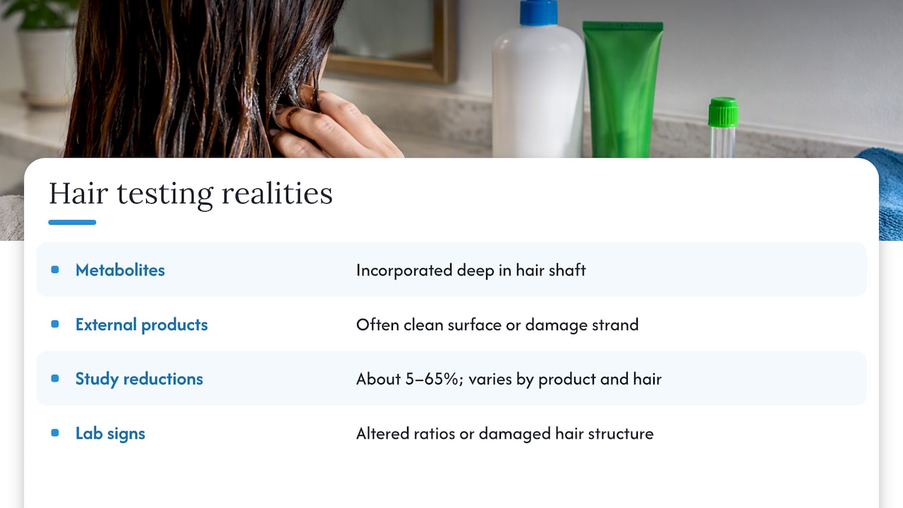Do detox shampoo ingredients work on a hair drug test? — overview diagram
