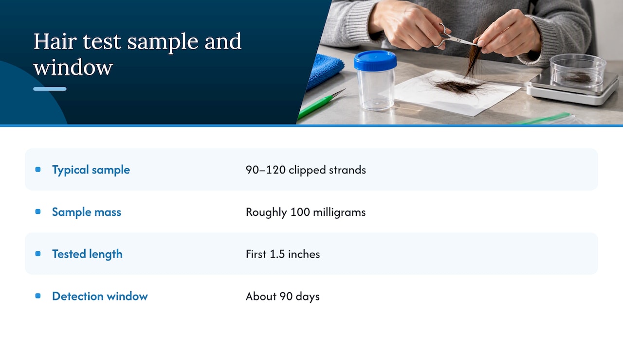 Hair sample length and detection window
