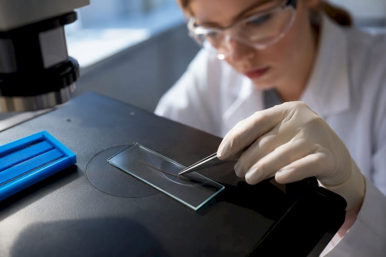 1790385224429_Analyst-examining-hair-strand-in-laboratory