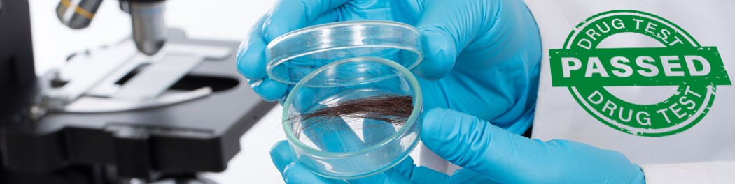 how-to-pass-a-hair-drug-test